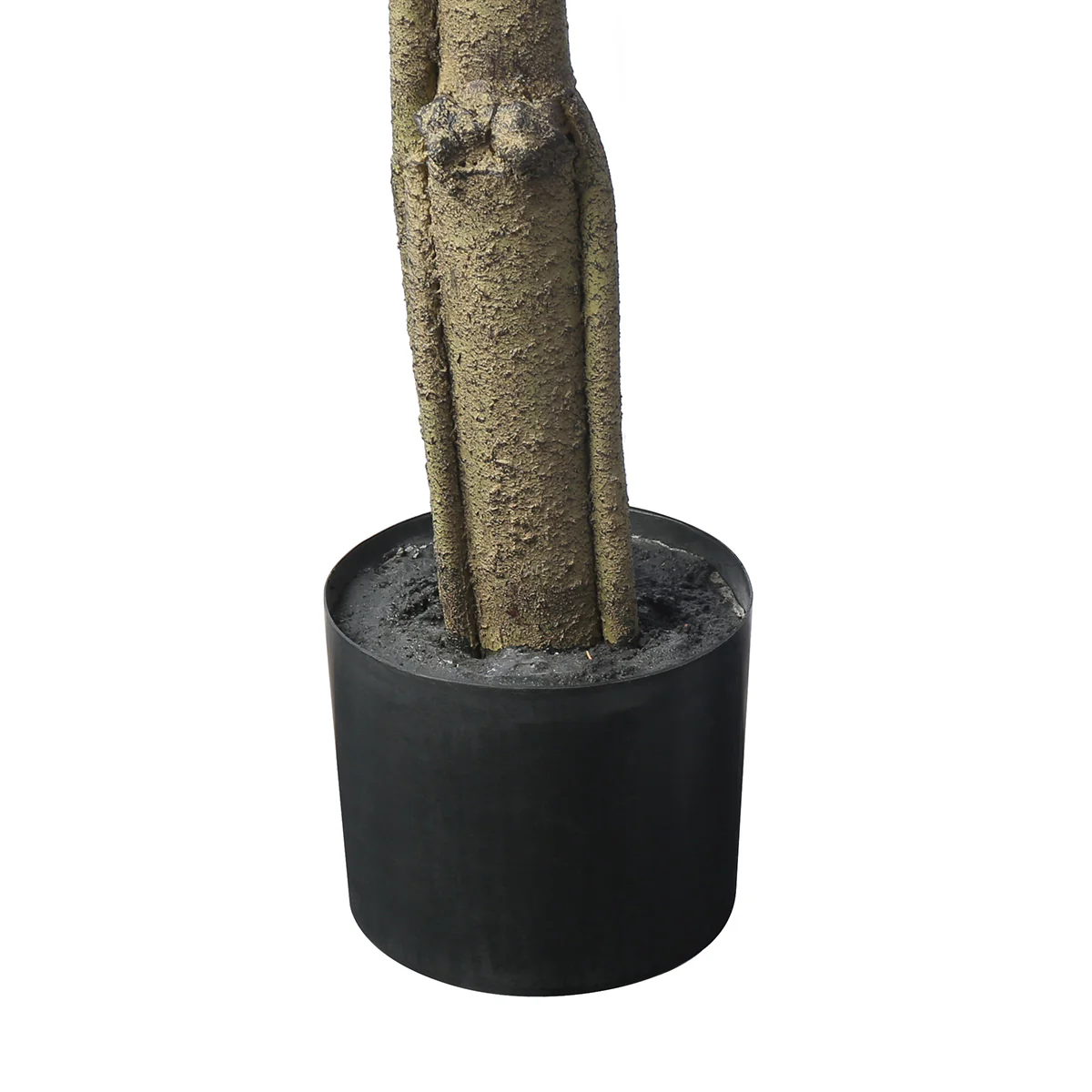 Arbre Hévéa en Pot 180 cm - Image 4