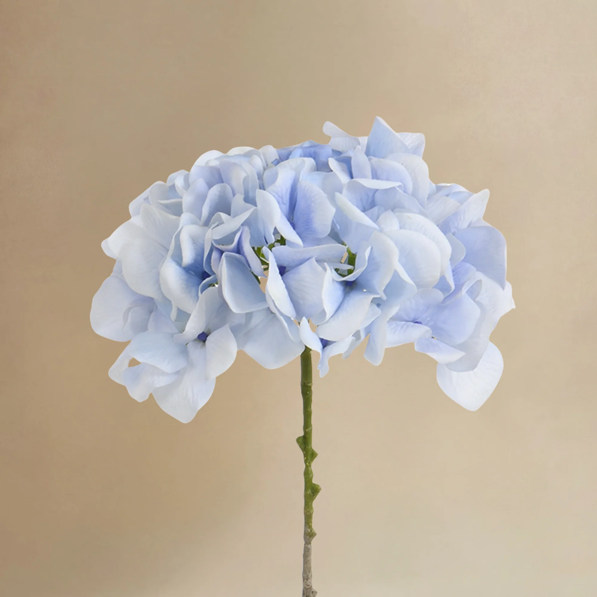 Bouquet d’Hortensia bleu 9 tiges - Image 5
