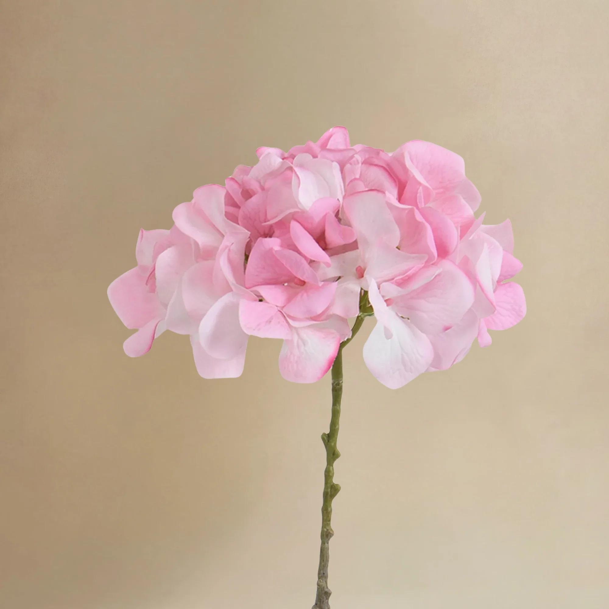 Bouquet d’Hortensia rose 9 tiges - Image 5