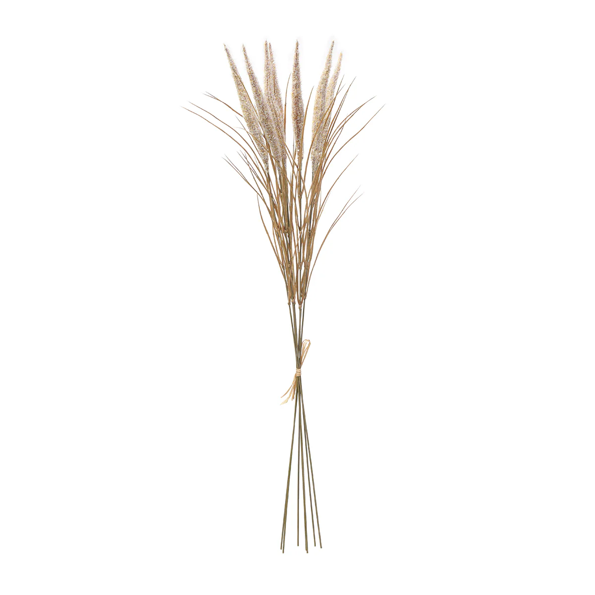 Bouquet de Pampa 7 tiges 80 cm - Image 11
