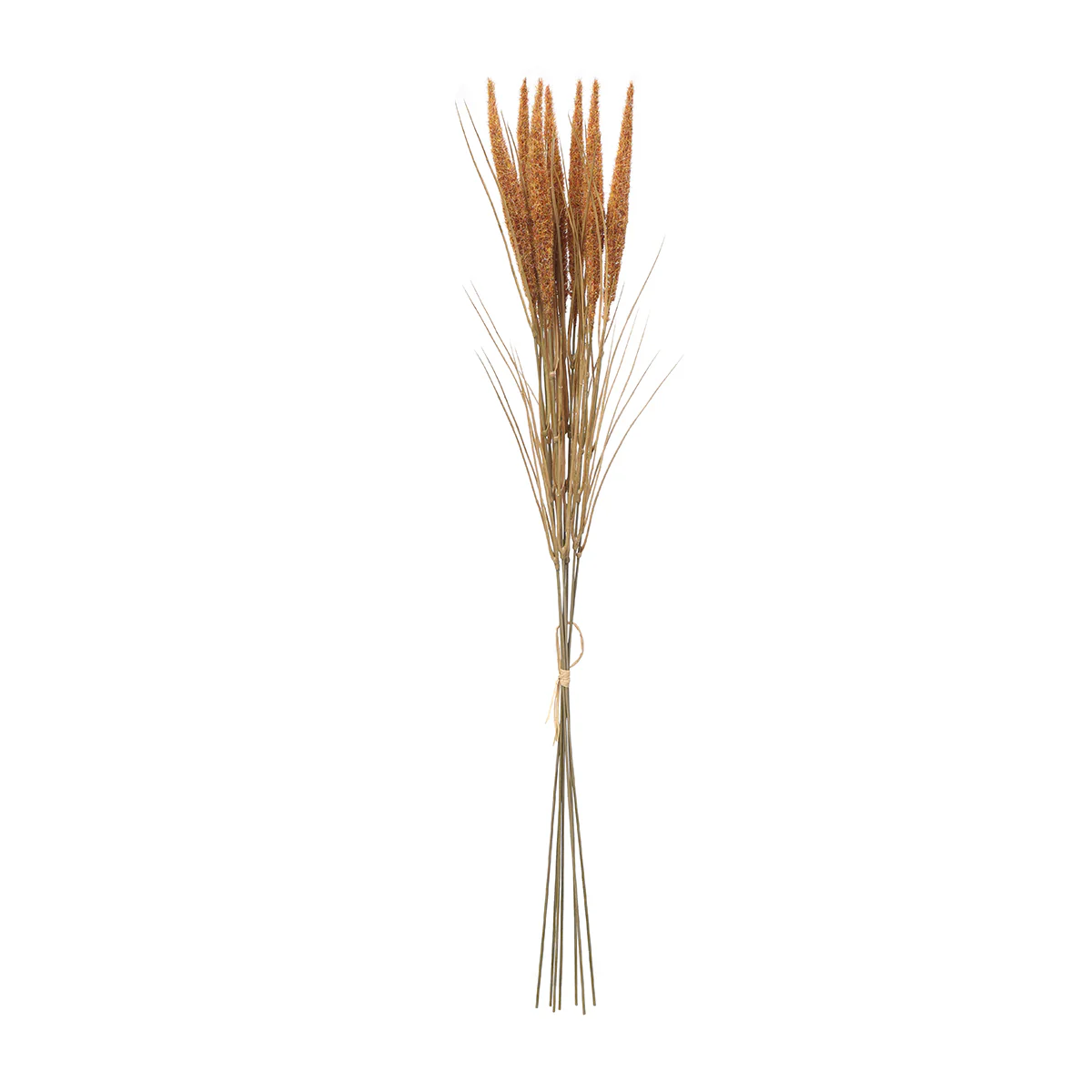 Bouquet de Pampa 7 tiges 80 cm - Image 17