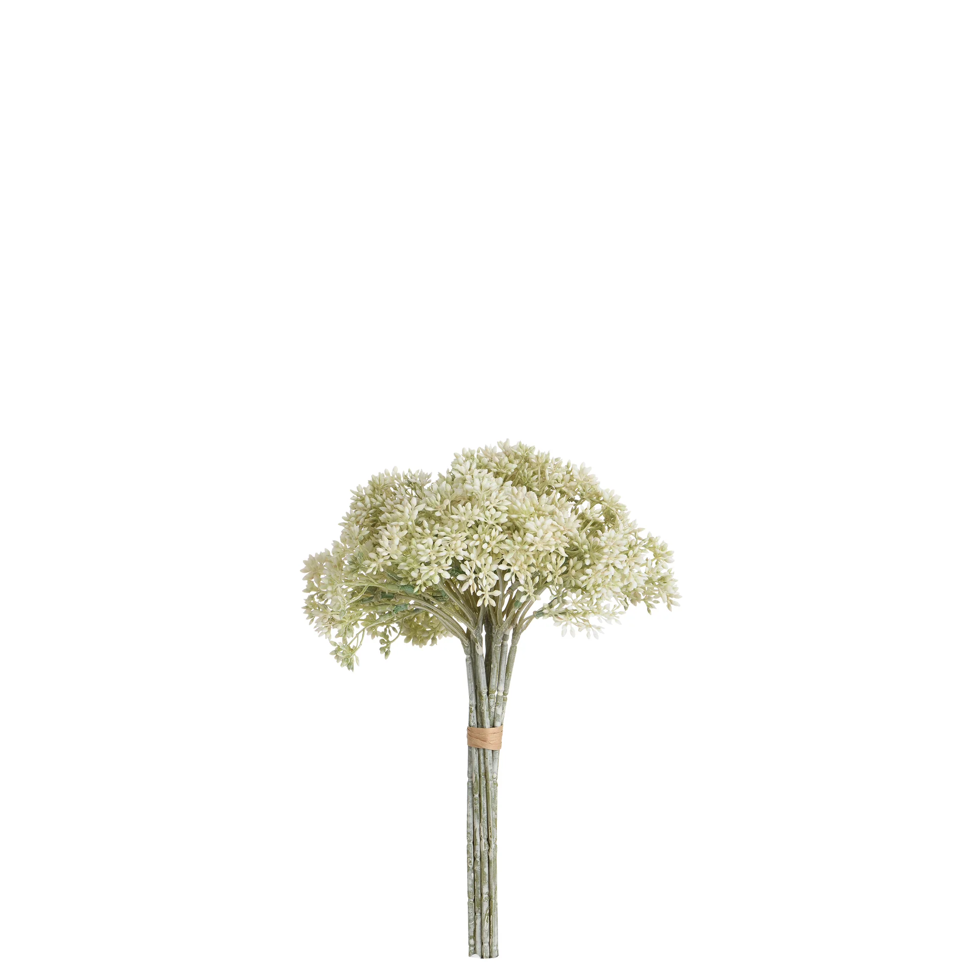 Bouquet d'Orpin 30 cm - Image 7
