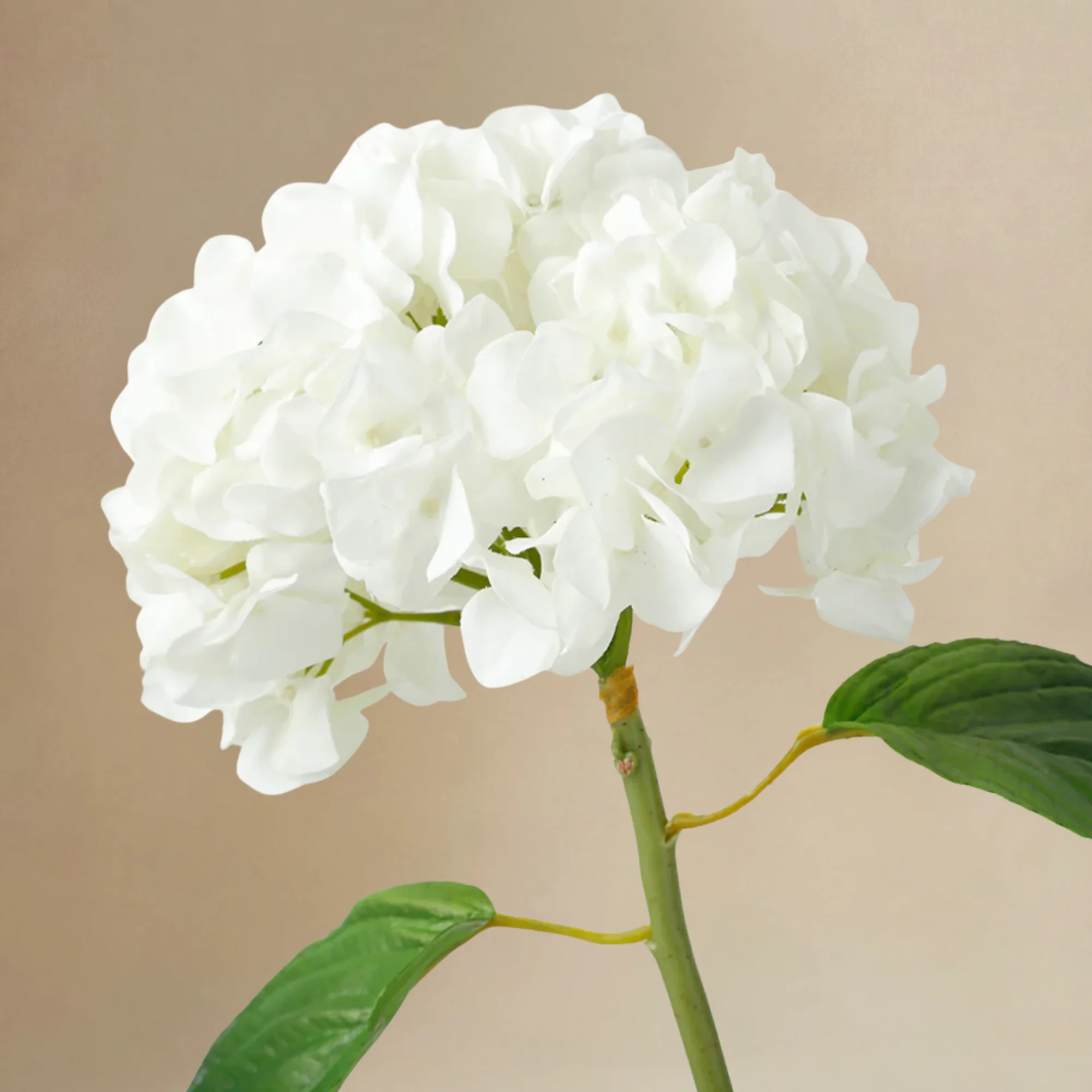 Bouquet d'Hortensias Élora - Image 5