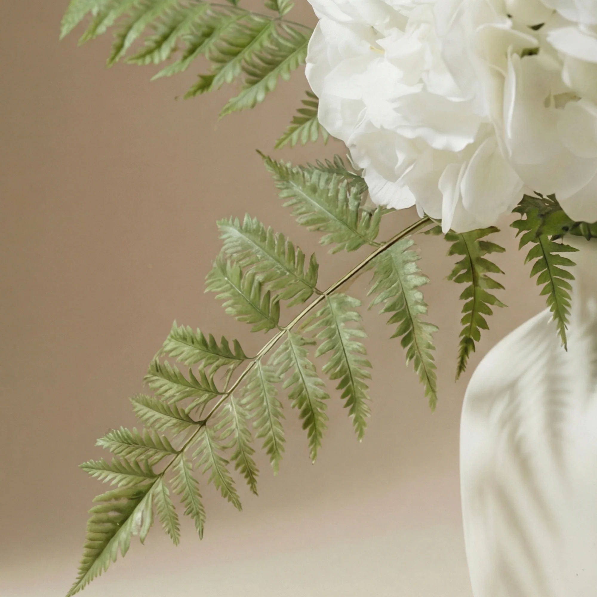Bouquet d'Hortensias Vireya - Image 4