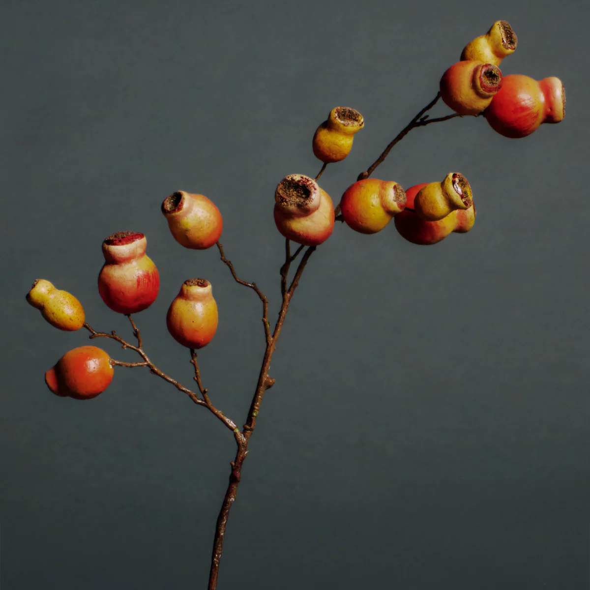 Branche Églantier 64 cm - Image 3