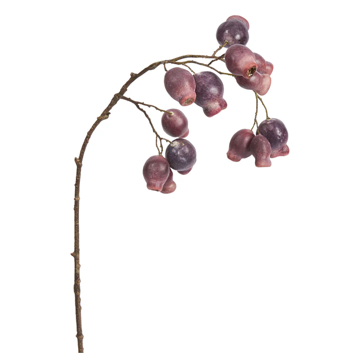 Branche Églantier 64 cm - Image 4