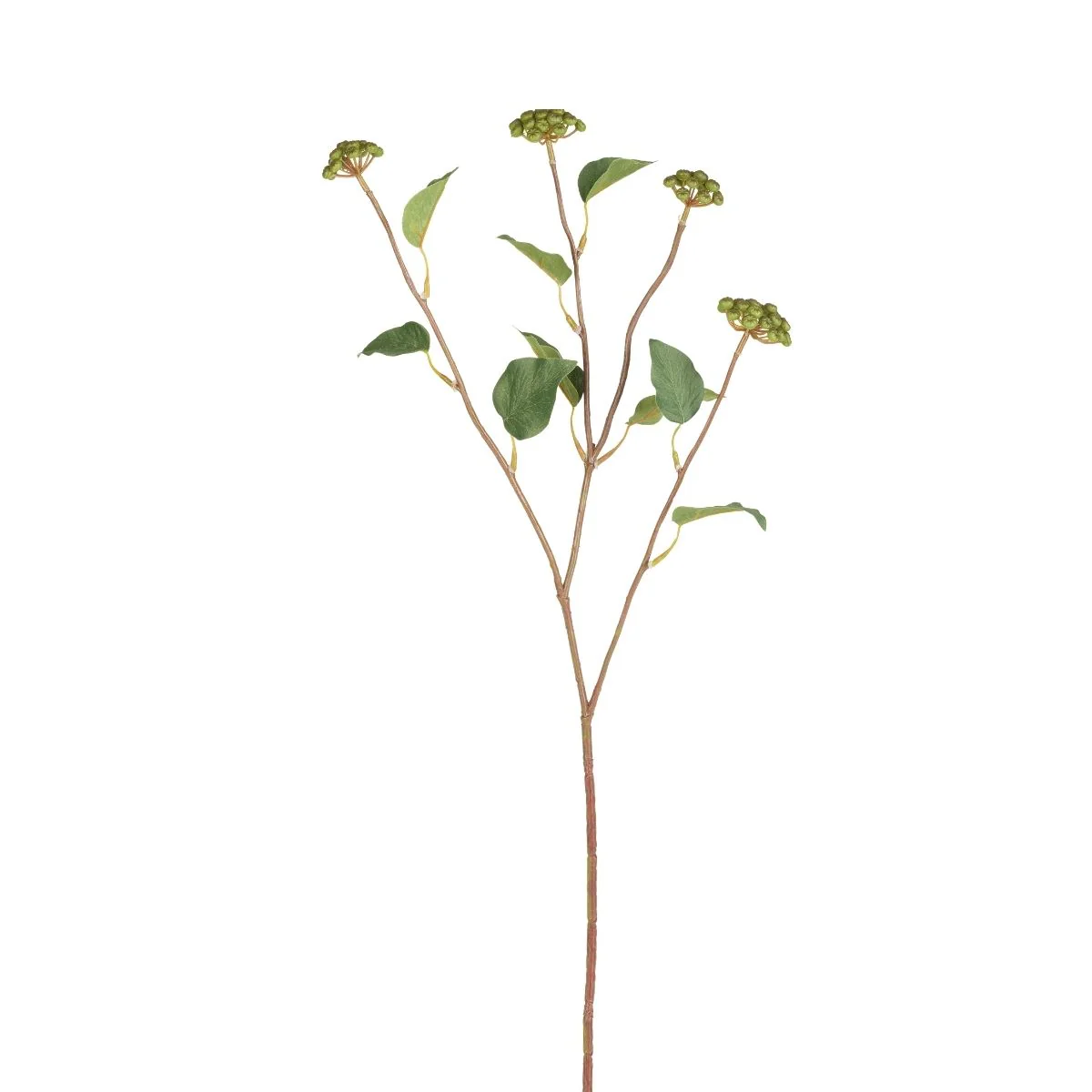 Branche de Baies avec feuilles - Image 3