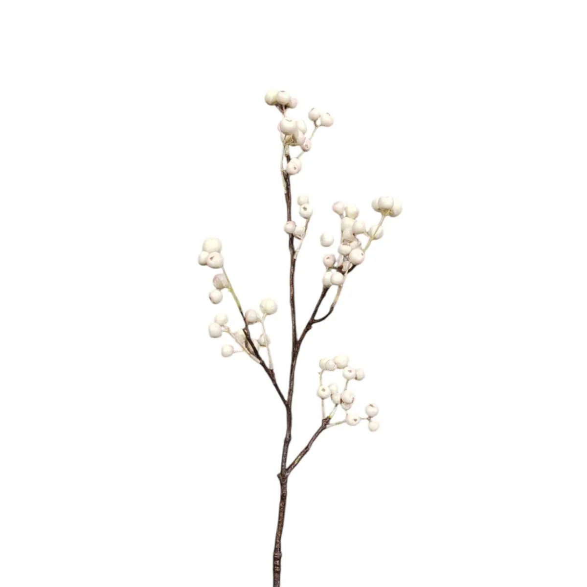Branche de Baies - Image 3