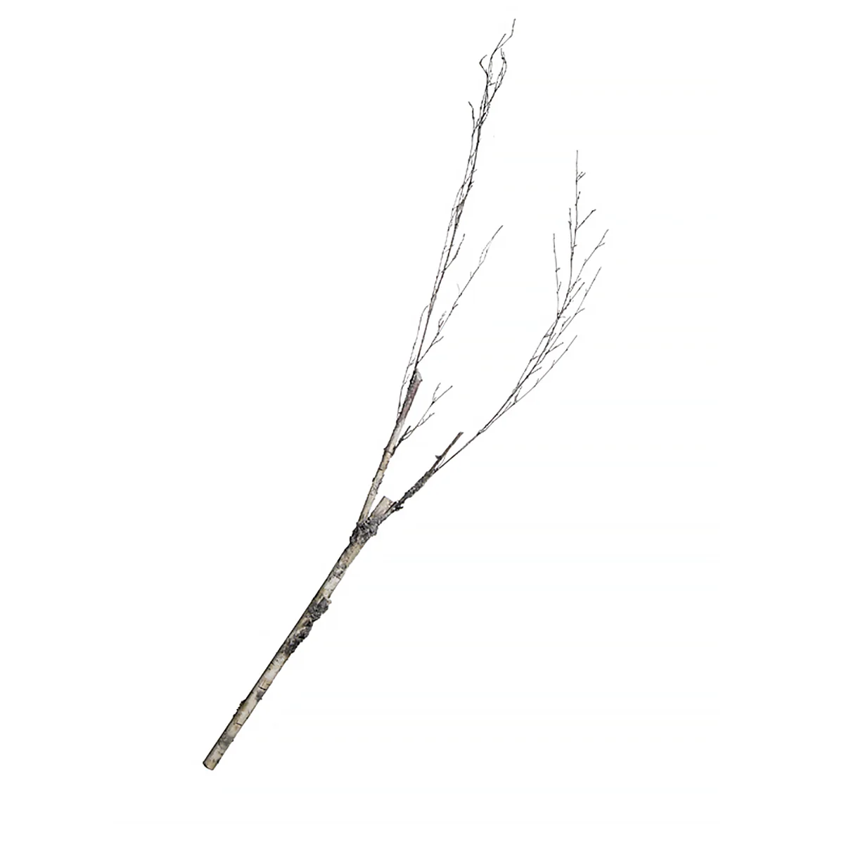 Branche de Boulot
