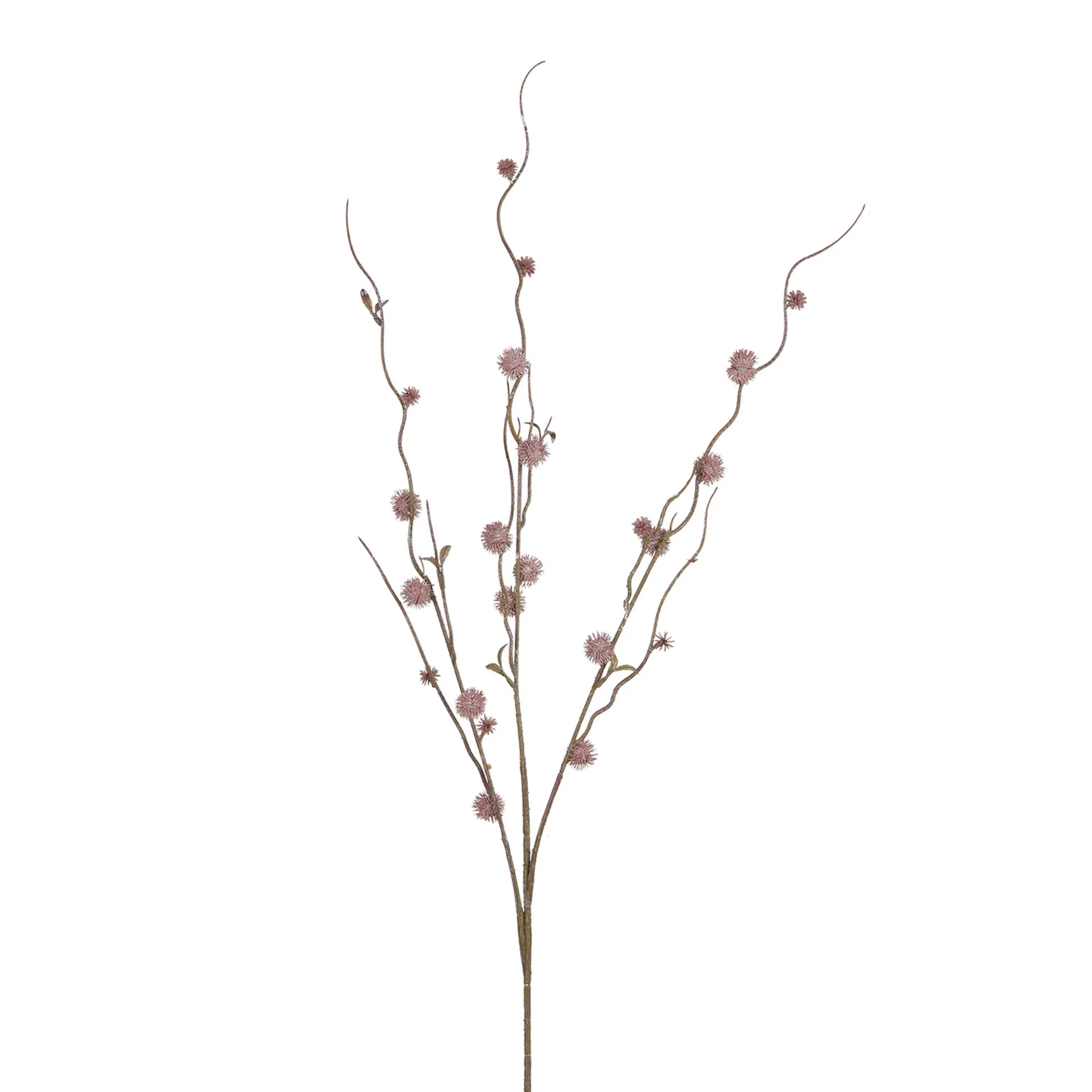 Branche de Chardon boule 88 cm