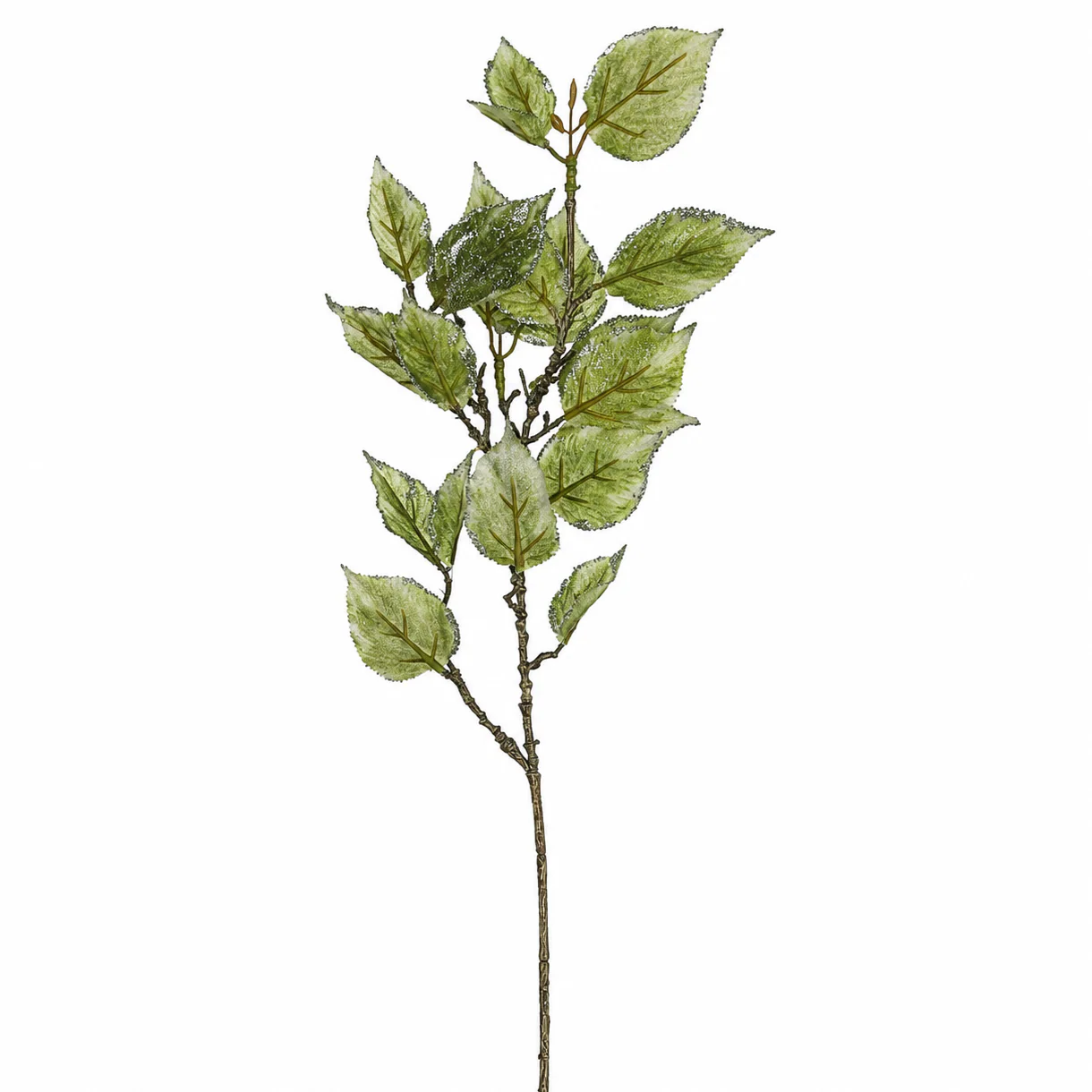 Feuillage Laurier Pailleté