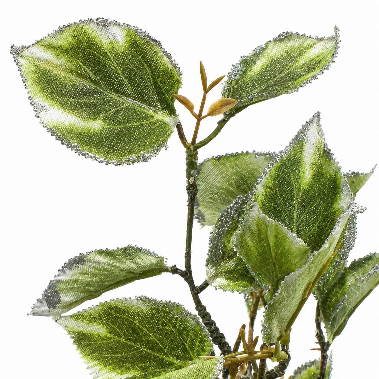 Feuillage Laurier Pailleté - Image 4