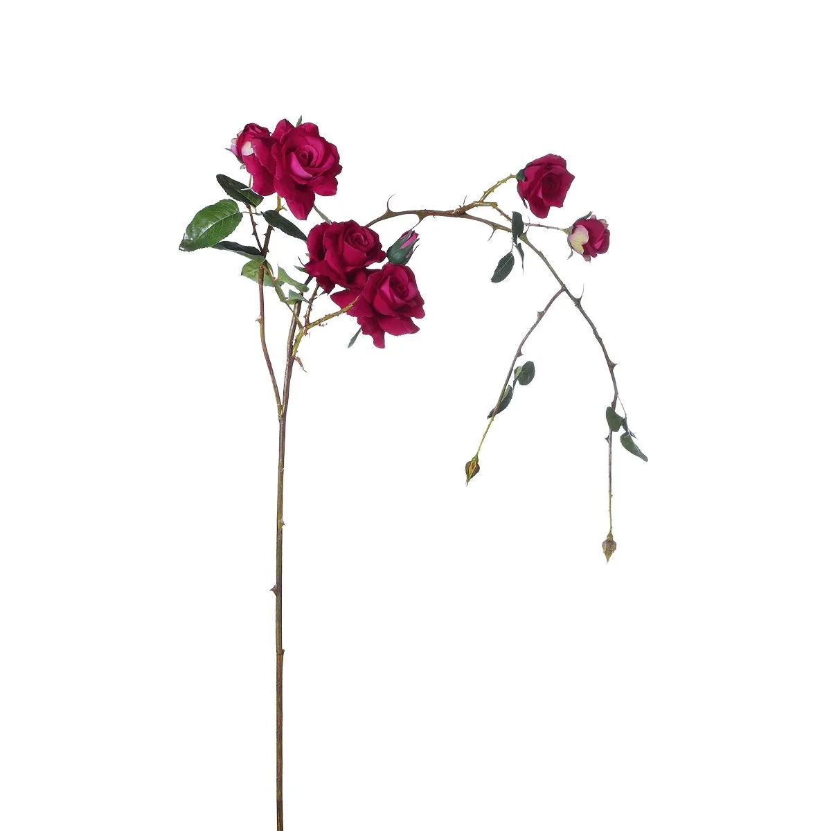 Tige de Roses Tombante
