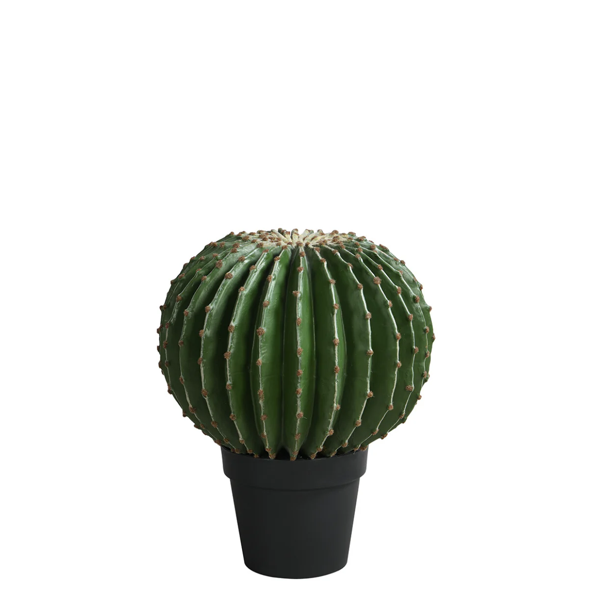Cactus rond en pot 43 cm