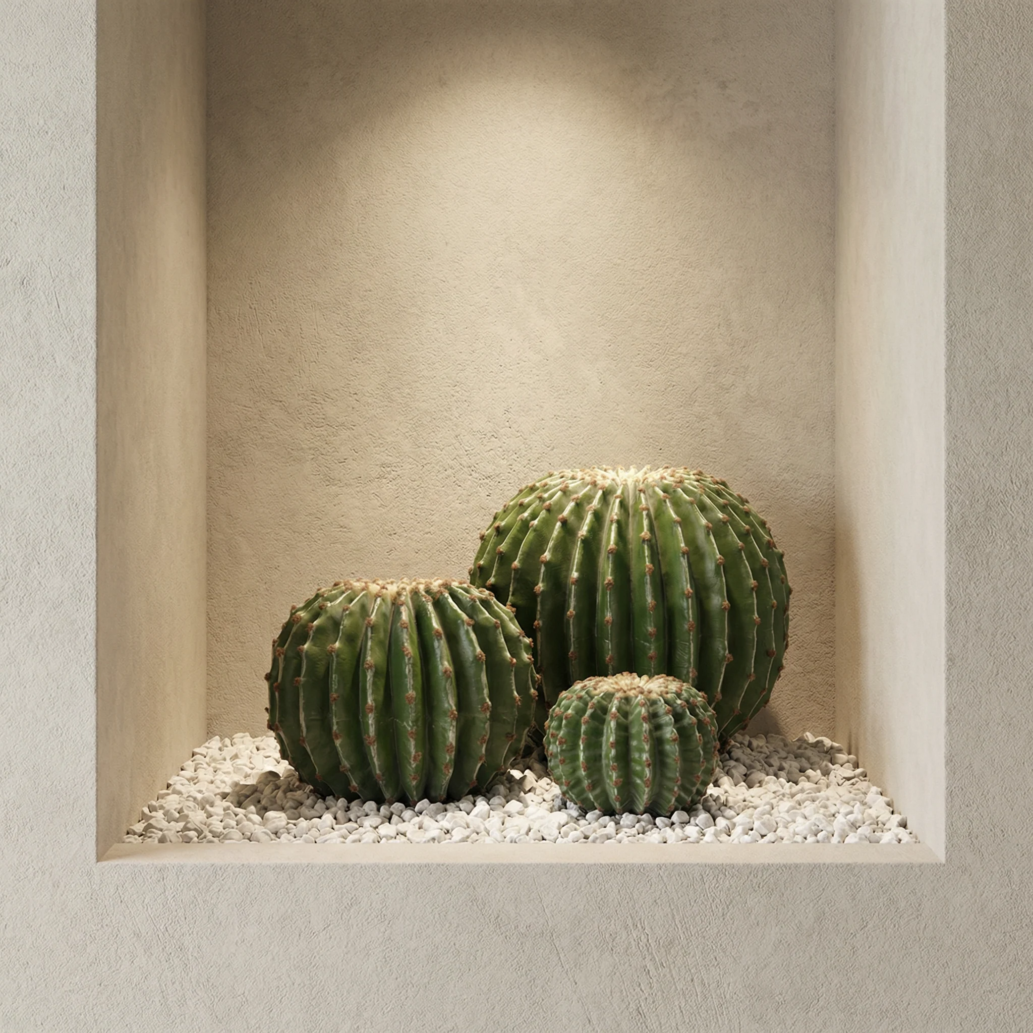 Cactus rond en pot 43 cm - Image 2