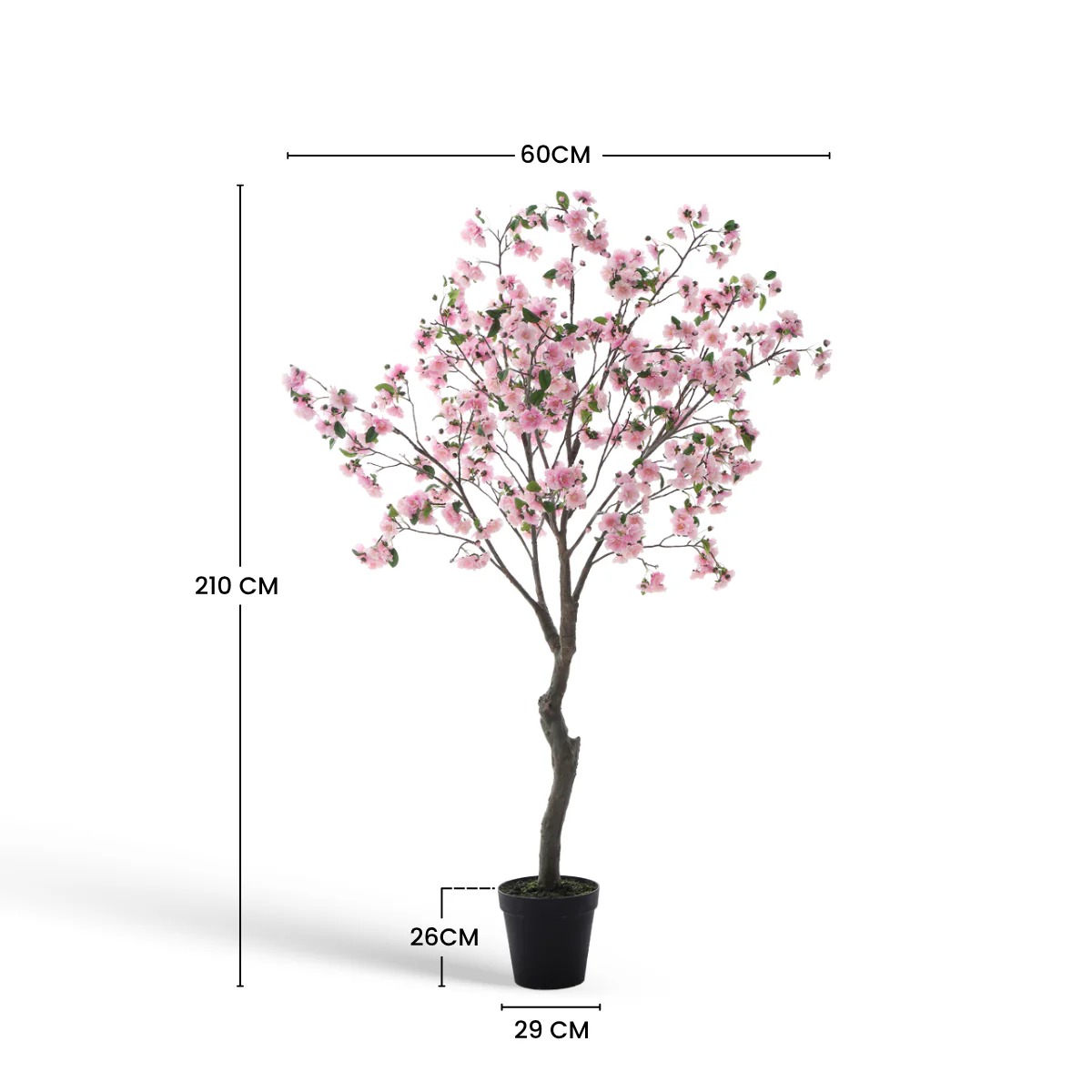 Cerisier en fleurs en pot 210cm - Image 7
