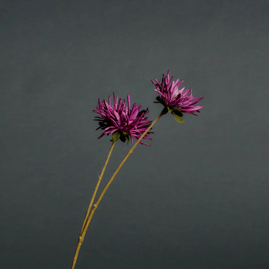 Tige de Chrysanthème Tokyo - Image 3