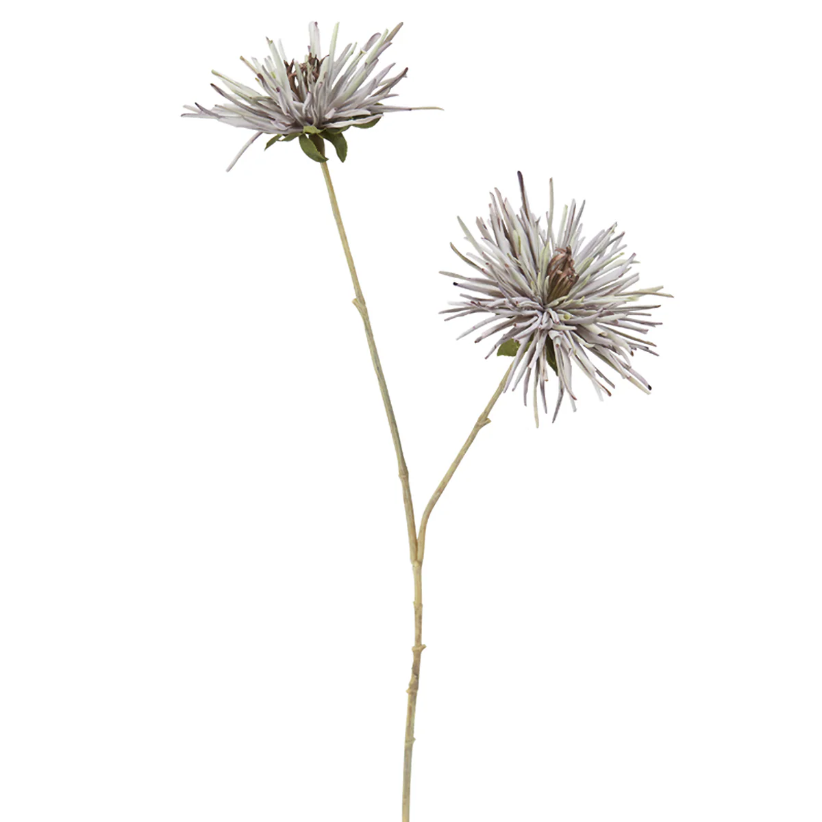Tige de Chrysanthème Tokyo - Image 4