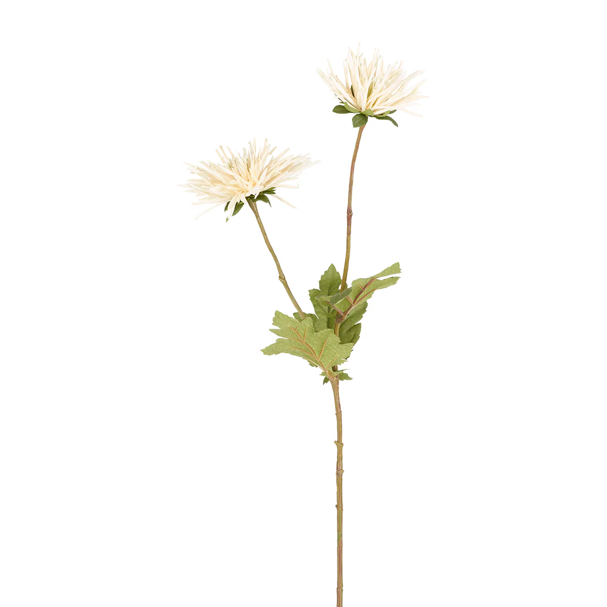 Tige de Chrysanthème Tokyo - Image 3