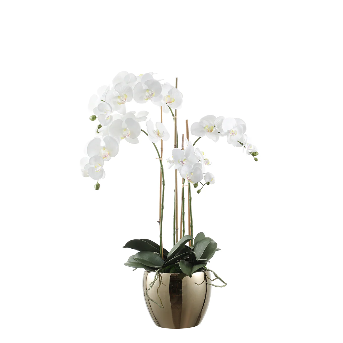 Composition d'Orchidée Vase Doré 79cm