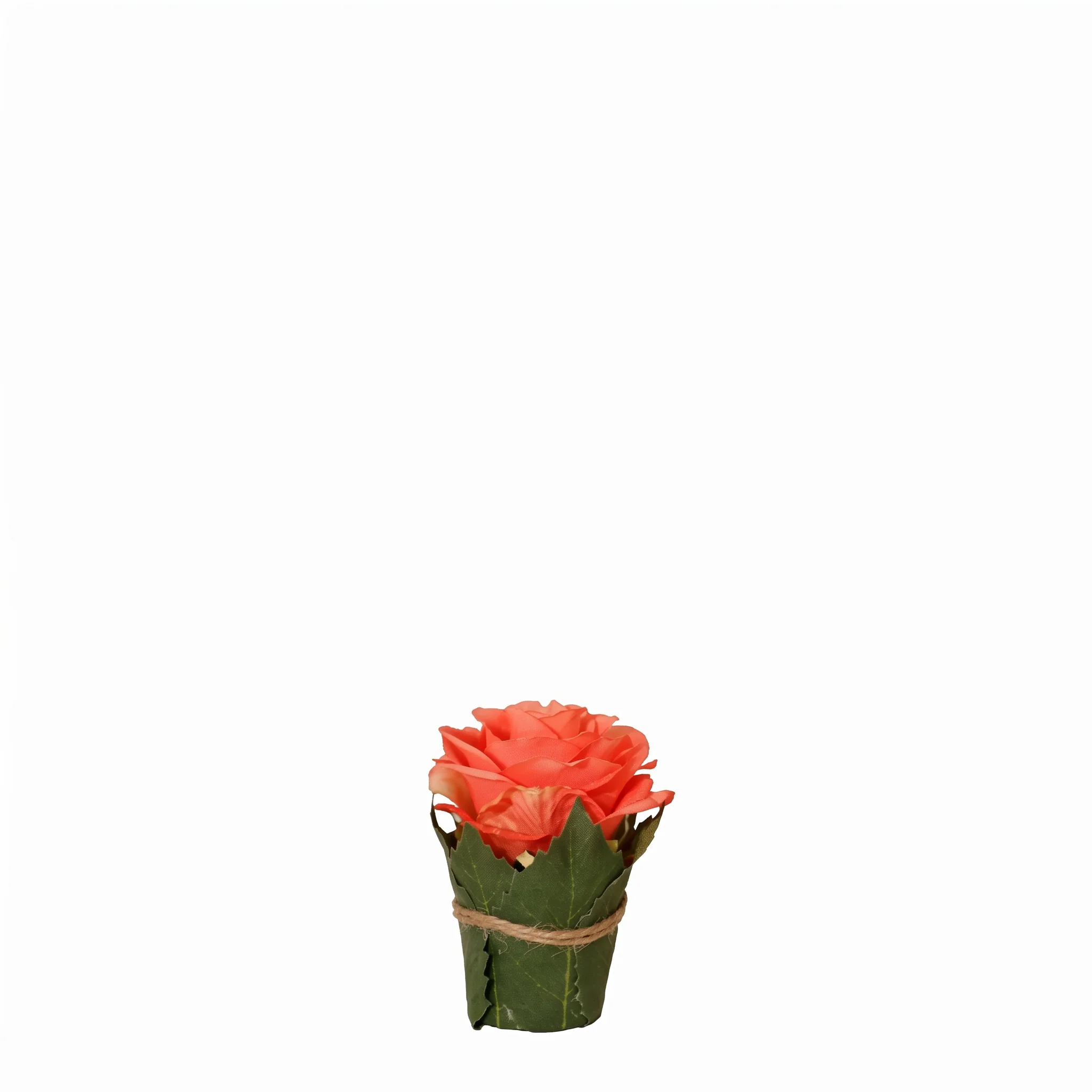 Composition Rose entourée de feuilles