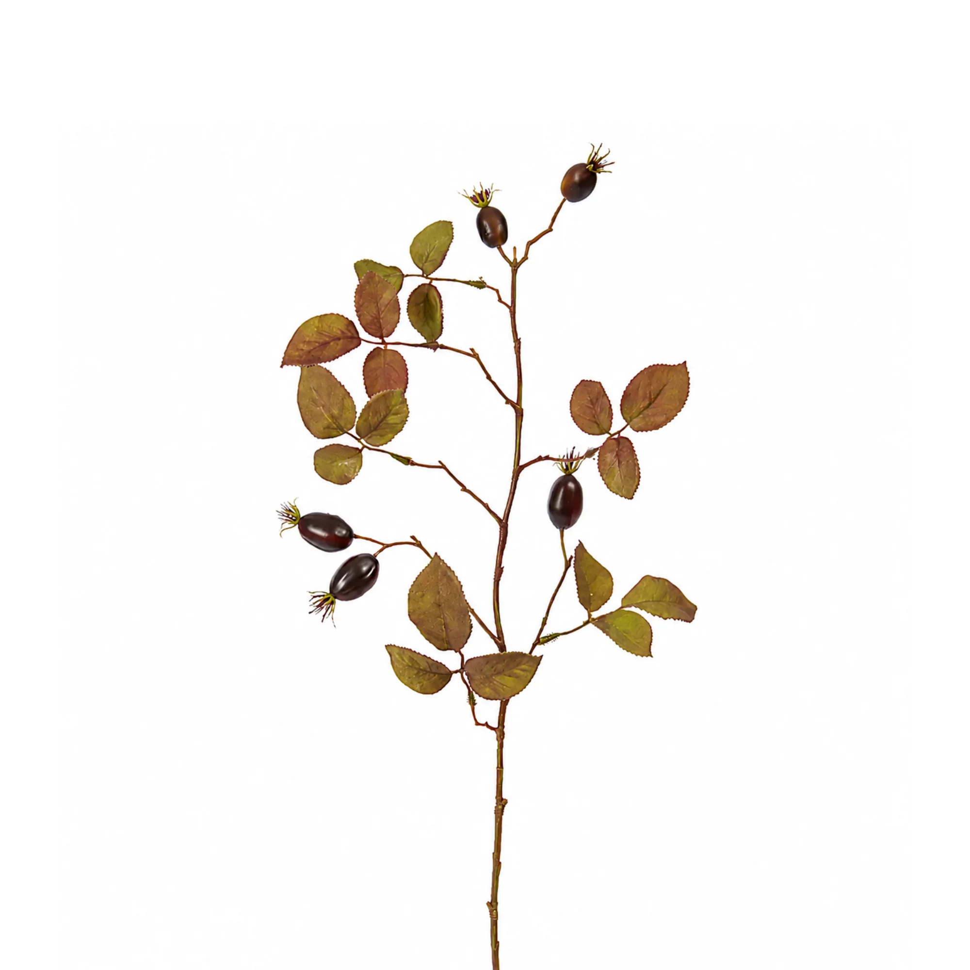 Feuillage Eglantier 66 cm