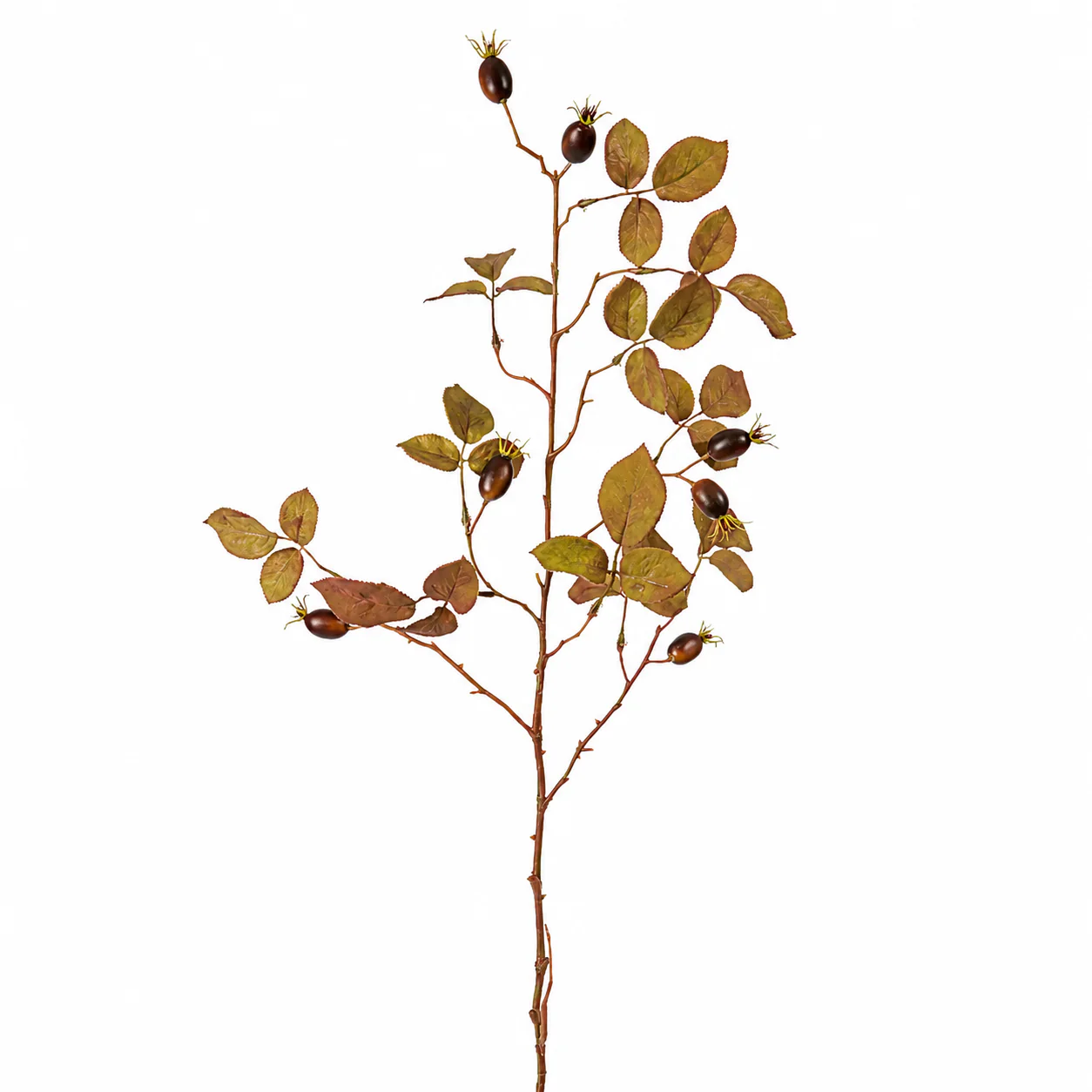 Feuillage Eglantier 100 cm