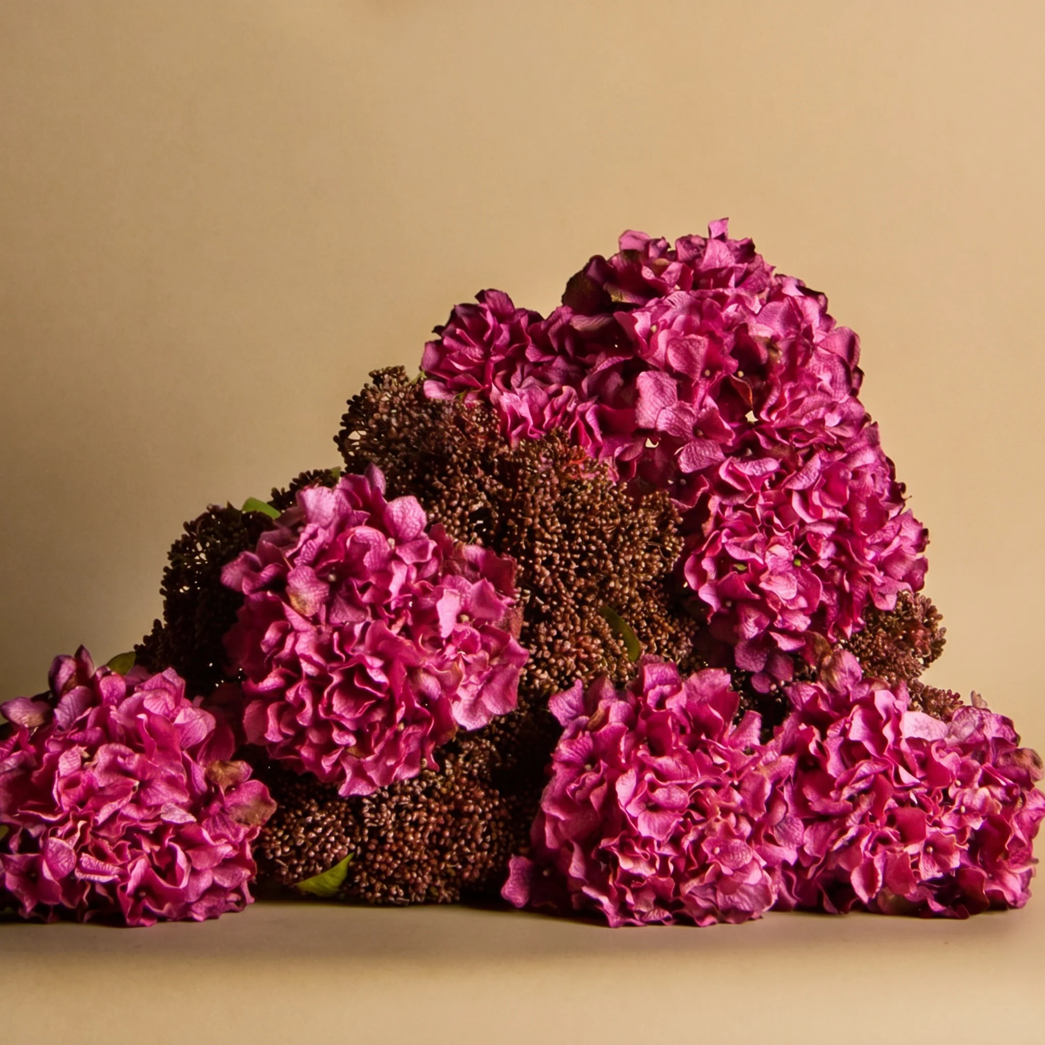 Feuillage de Skimmia - Image 3