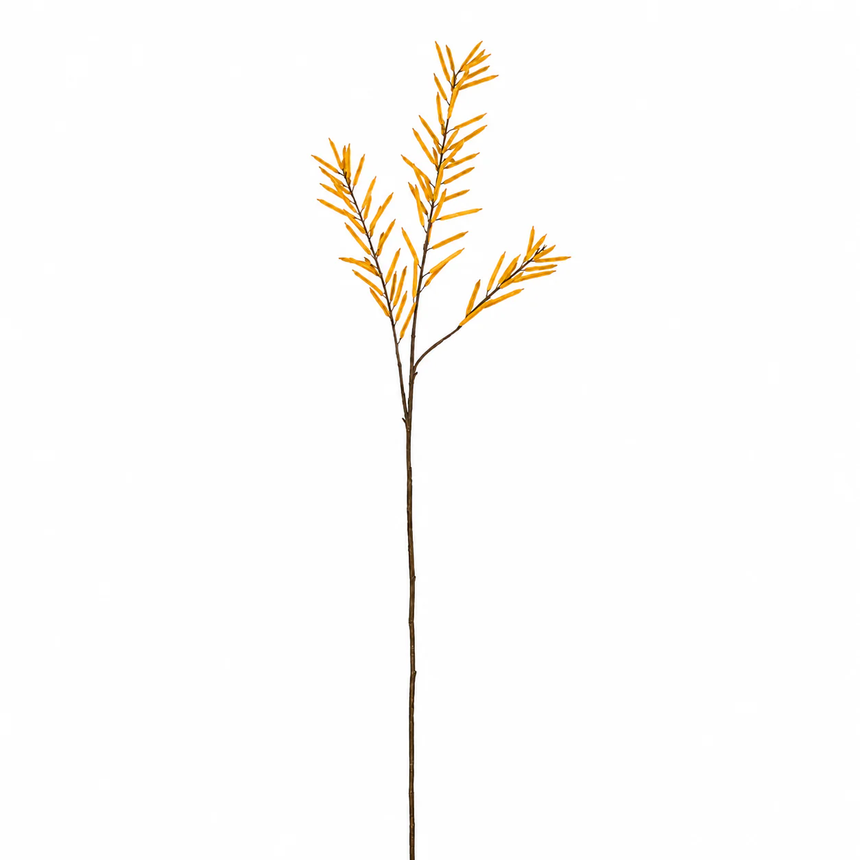 Feuillage d'Haricots 114 cm - Image 3