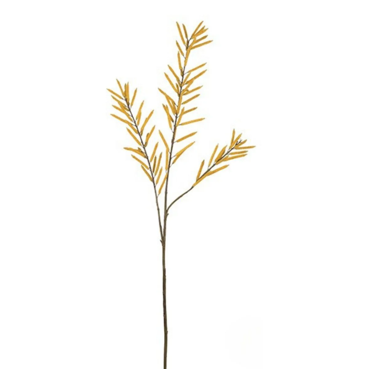 Feuillage d'Haricots 114 cm - Image 5