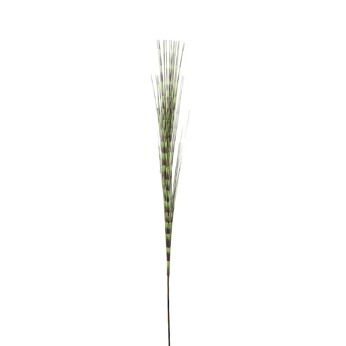 Feuillage Herbe effet rayure