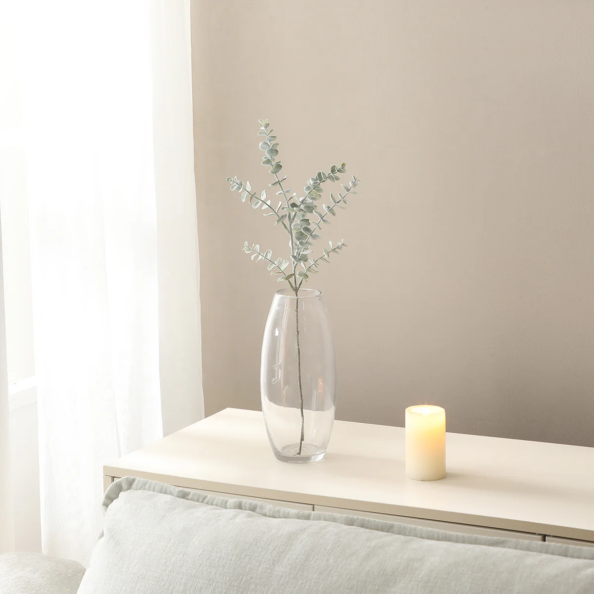 Feuillage d'Eucalyptus - Image 2