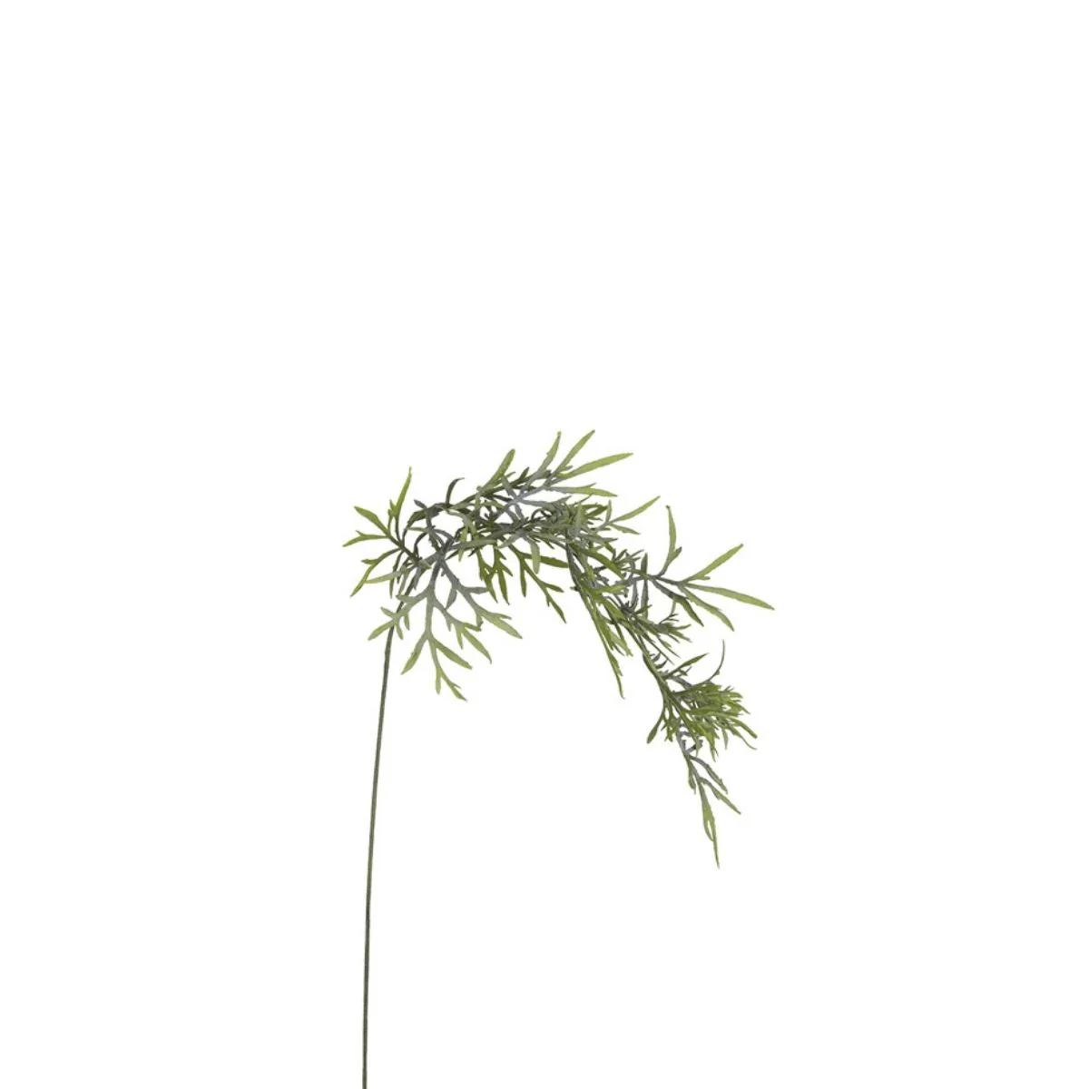 Feuillage Herbe tombante 70 cm