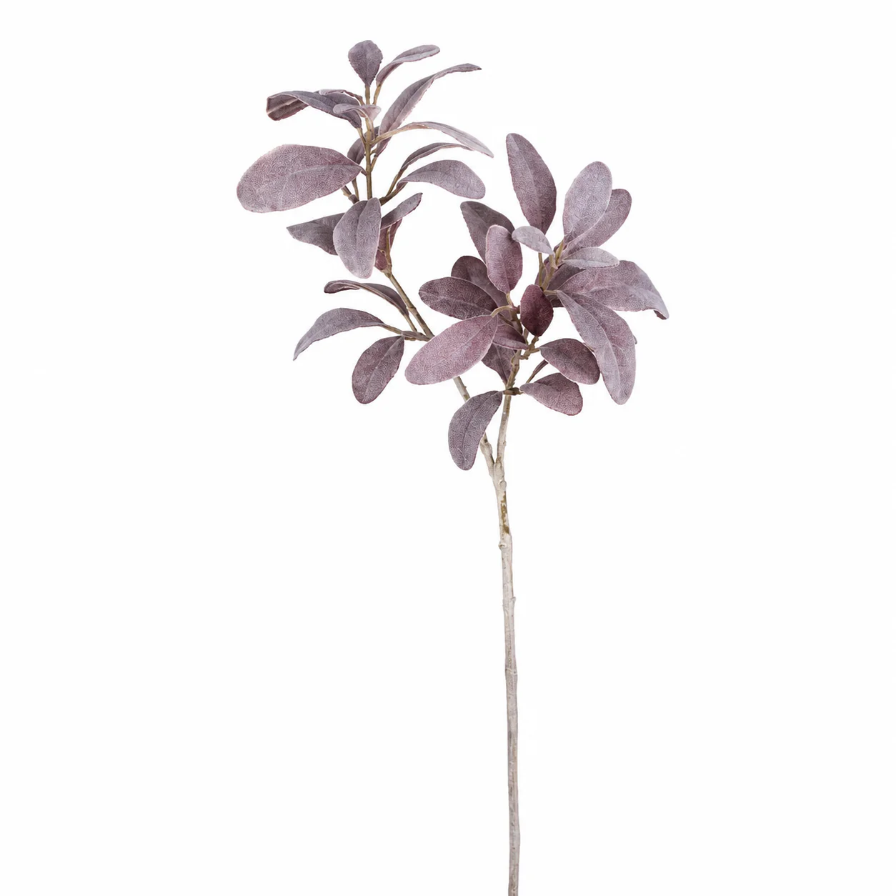 Feuillage Oreille d'Agneau blanchi 74 cm - Image 3