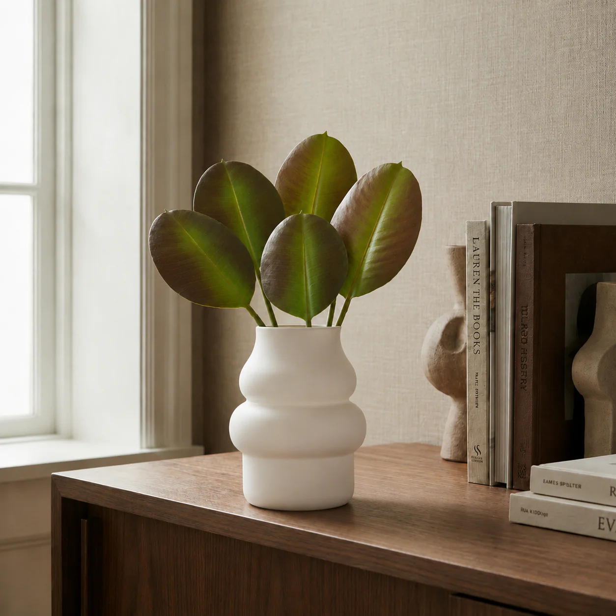 Feuilles de Ficus - Image 4
