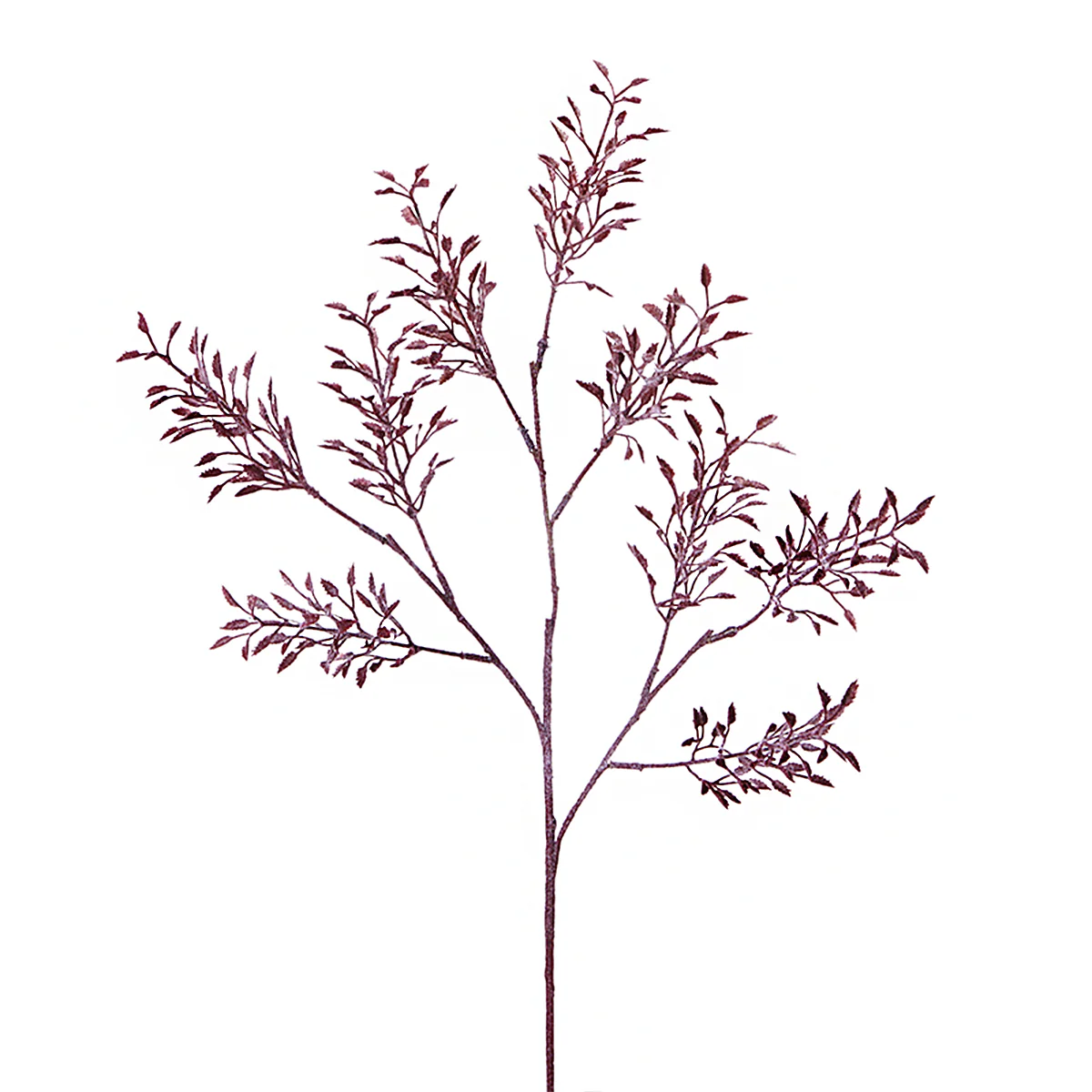 Feuillage de Glycine Givré