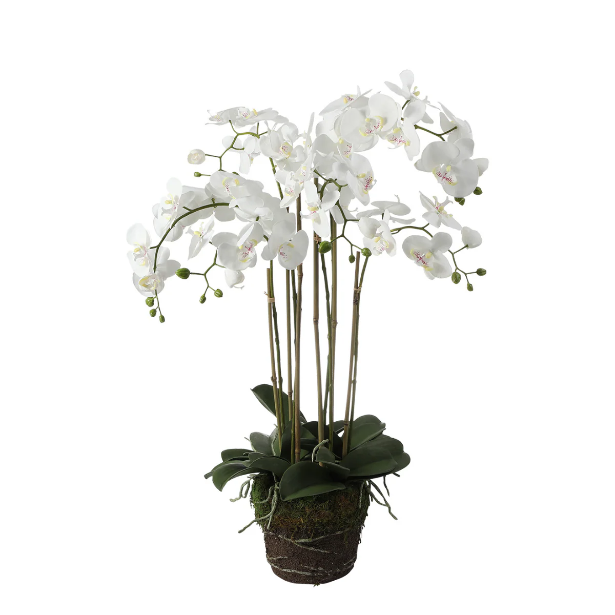 Orchidée Artificielle en Terre Grand format