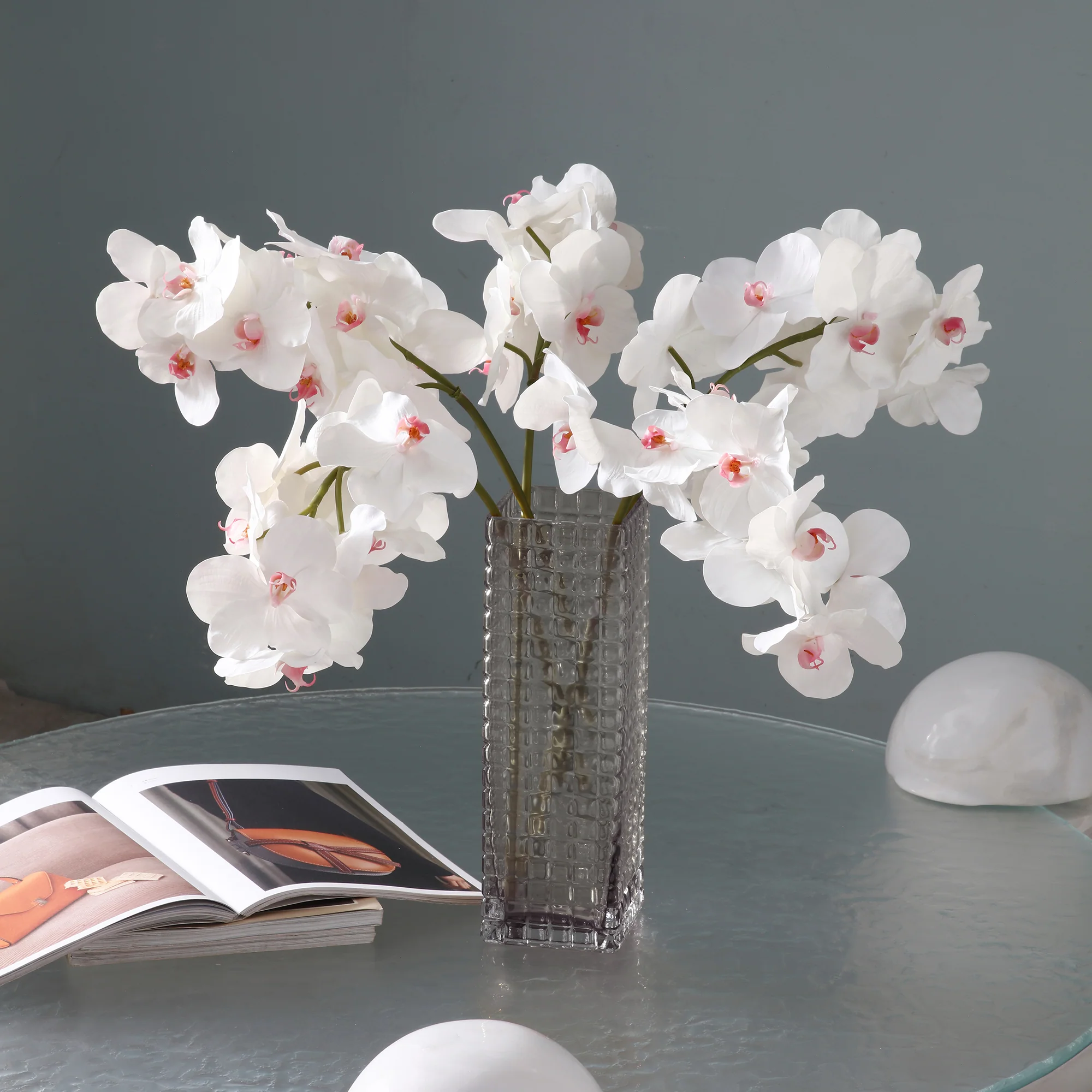 Tige d'Orchidée Bandailan - Image 2