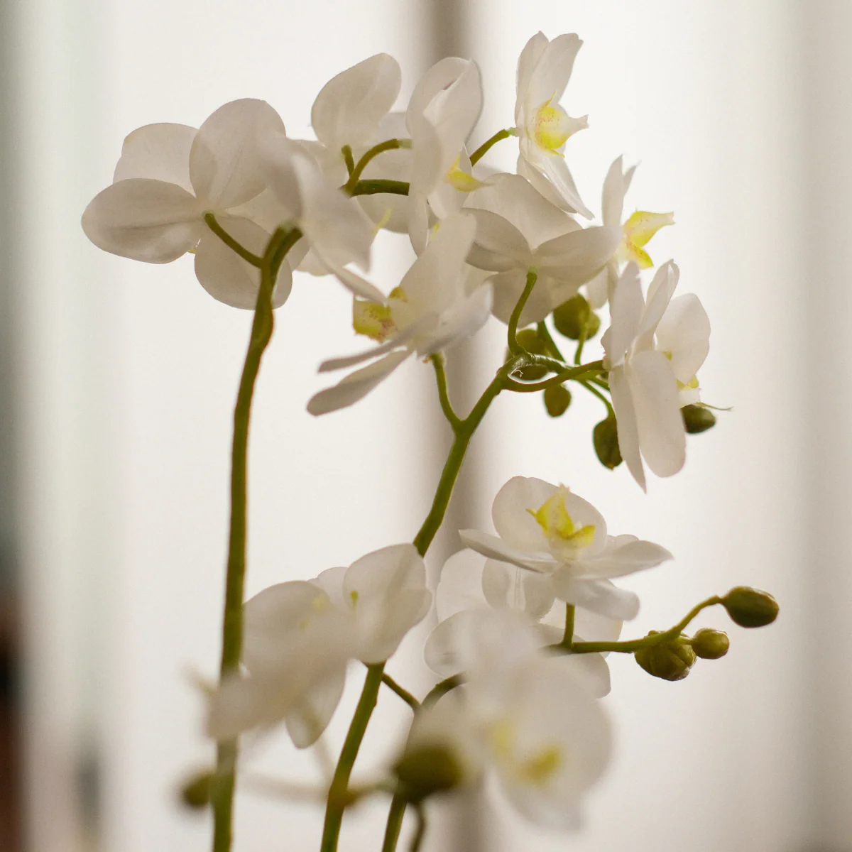 Composition d'Orchidée Artificielle Petit format - Image 4