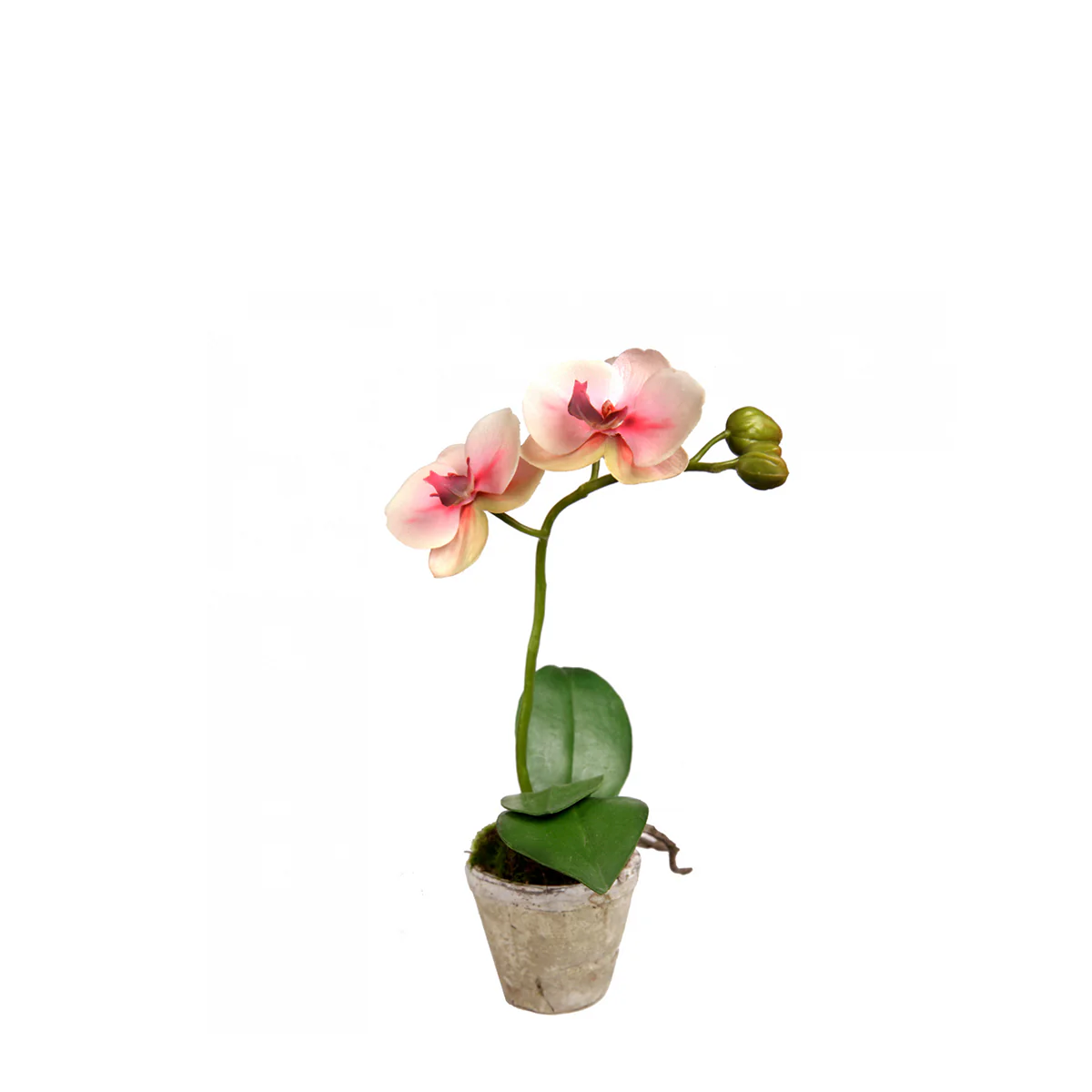 Miniature 1