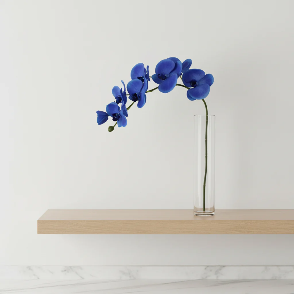 Tige d'Orchidée Phalaenopsis Forever - Image 5