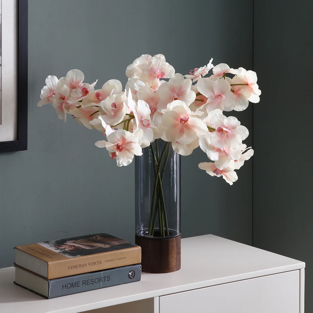 Tige d'Orchidée Phalaenopsis - Image 6