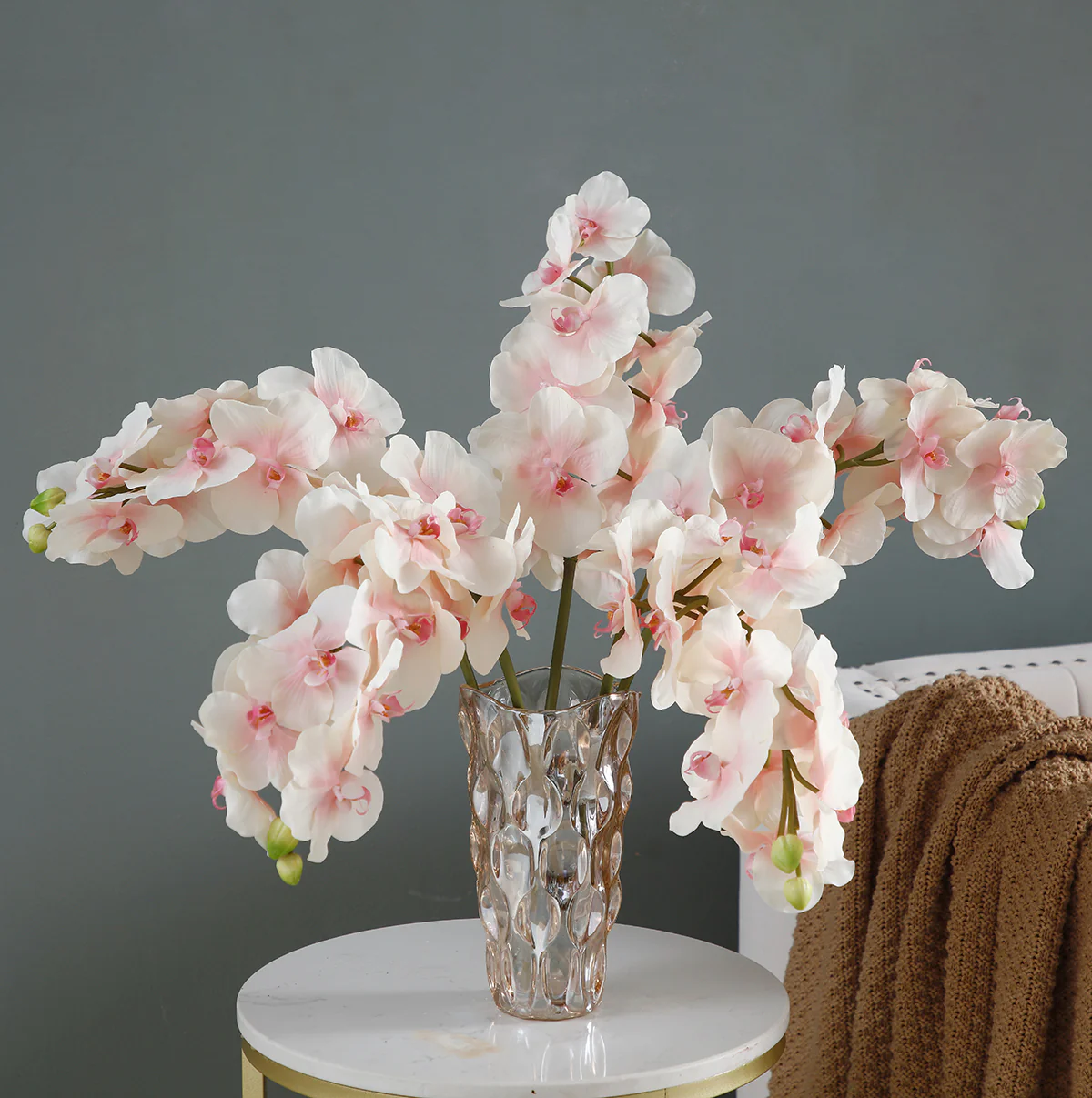 Tige d'Orchidée Phalaenopsis - Image 6