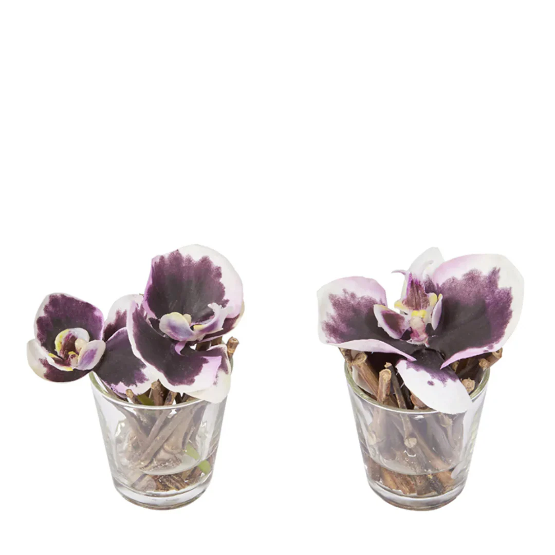 Orchidées Artificielles en Illusion d'Eau Sissi - Image 3