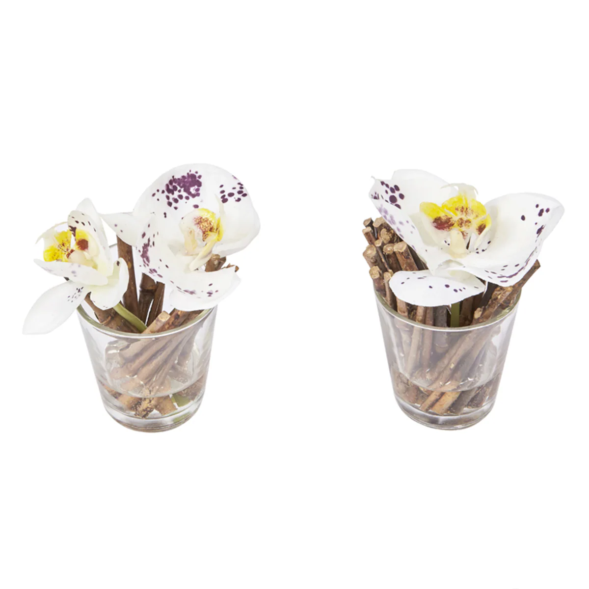Orchidées Artificielles en Illusion d'Eau Sissi - Image 5