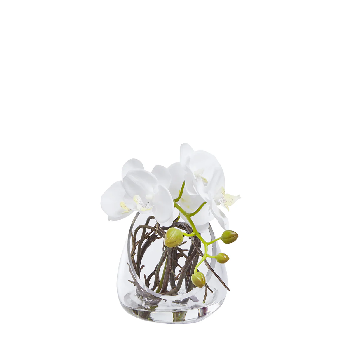 Miniature 1