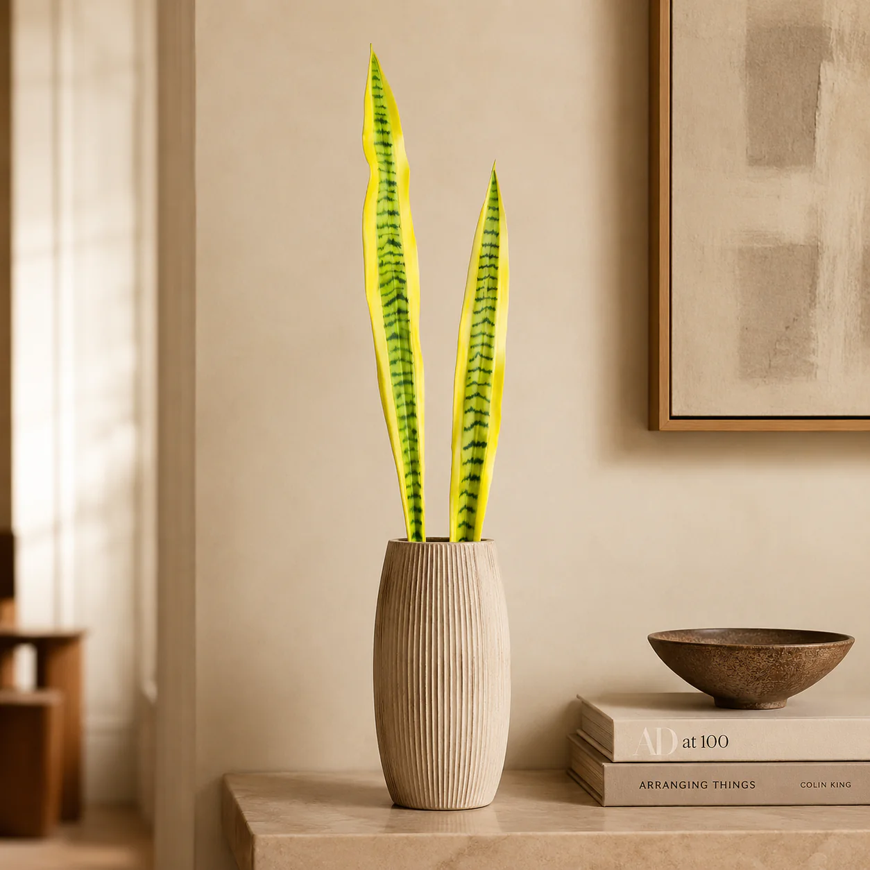 Feuilles de Sansevieria - Image 5
