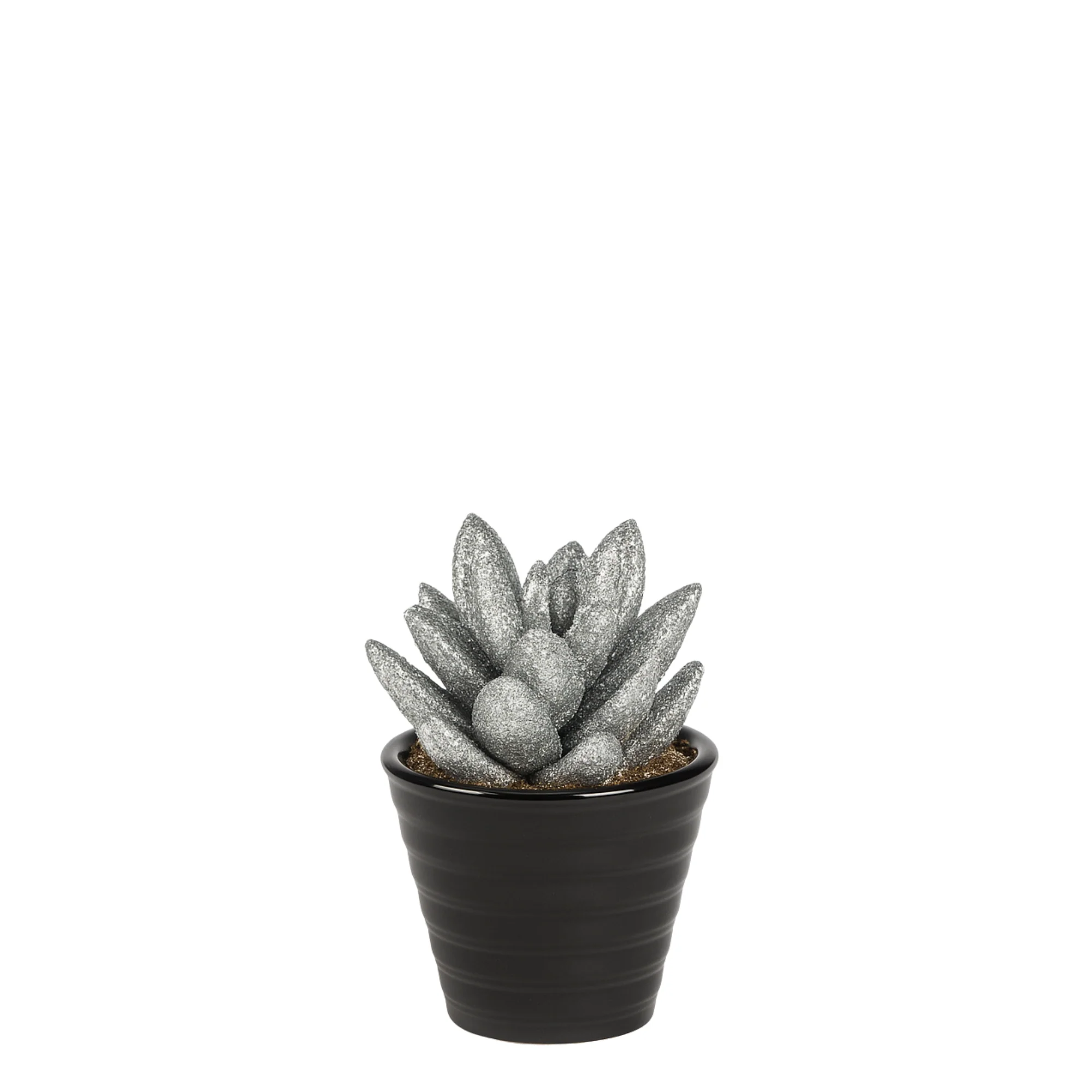 Miniature 1