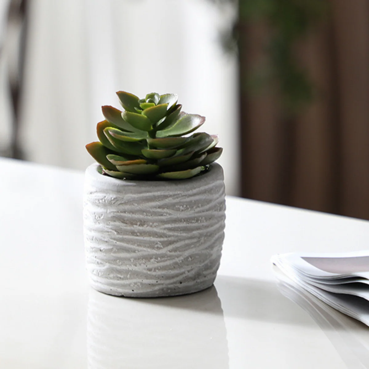 Succulentes en pot - Image 11
