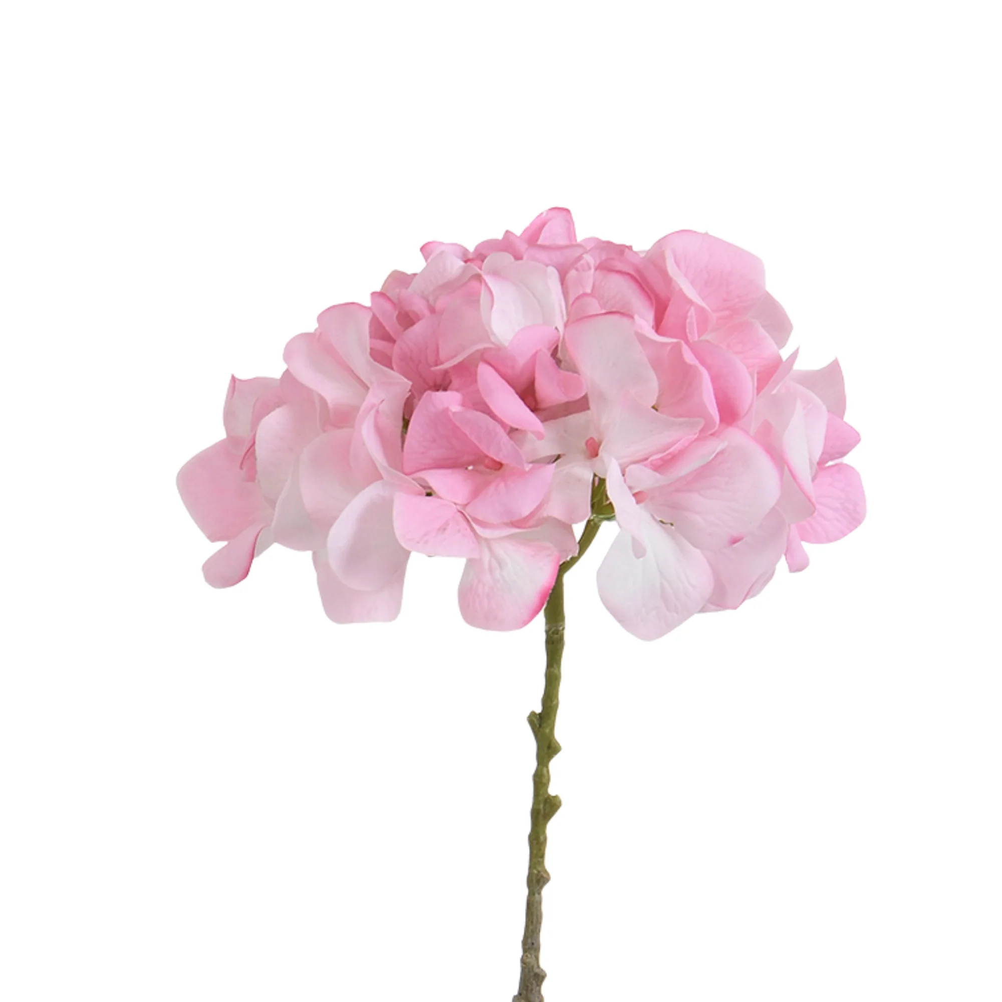 Tige d’Hortensia 63 cm - Image 10